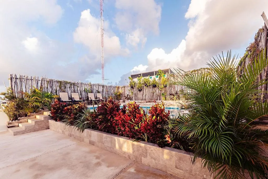 פלאייה דל כרמן Mararena Condominios By Nah Hotels