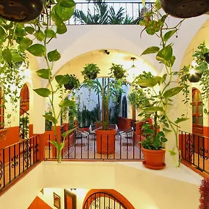 Hotel Alma Y Mar 5th Av, Playa del Carmen